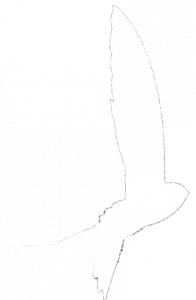 philippedardel.com Logo