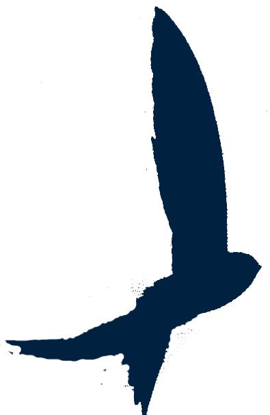 philippedardel.com